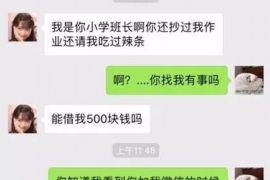 葫芦岛为什么选择专业追讨公司来处理您的债务纠纷？